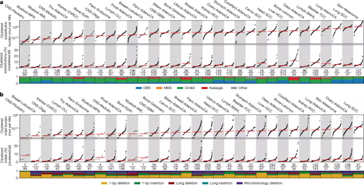 Mapping clustered mutations in cancer reveals APOBEC3 mutagenesis of ecDNA - Nature