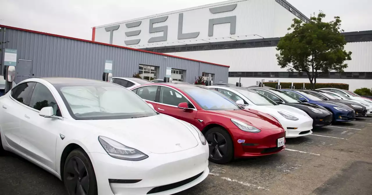 California sues Tesla over allegations of 'racially segregated' workplace at Fremont factory