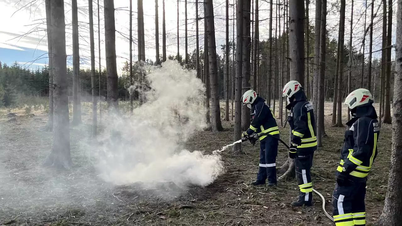 Feuerwehreinsatz: Holzhaufen in Brand