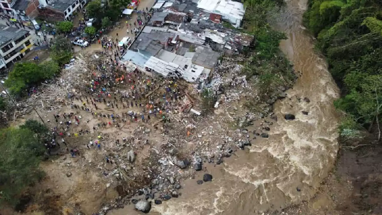 La otra cara de la tragedia: más de 180 animales han sido rescatados entre piedras y escombros