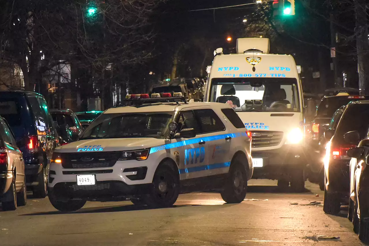 Man found fatally shot in head next to car outside Brooklyn home: cops