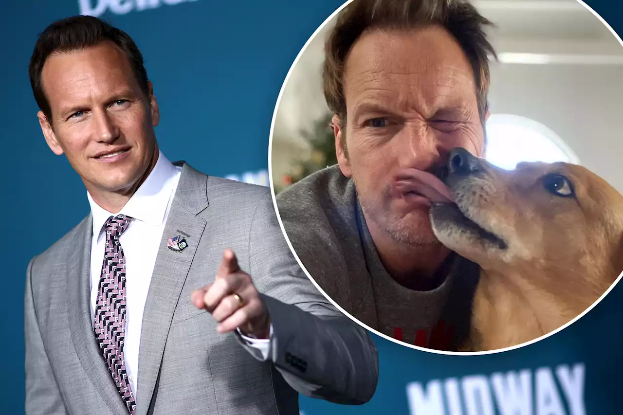 Patrick Wilson shocks with canine confession: ‘I’ve eaten dog poop’