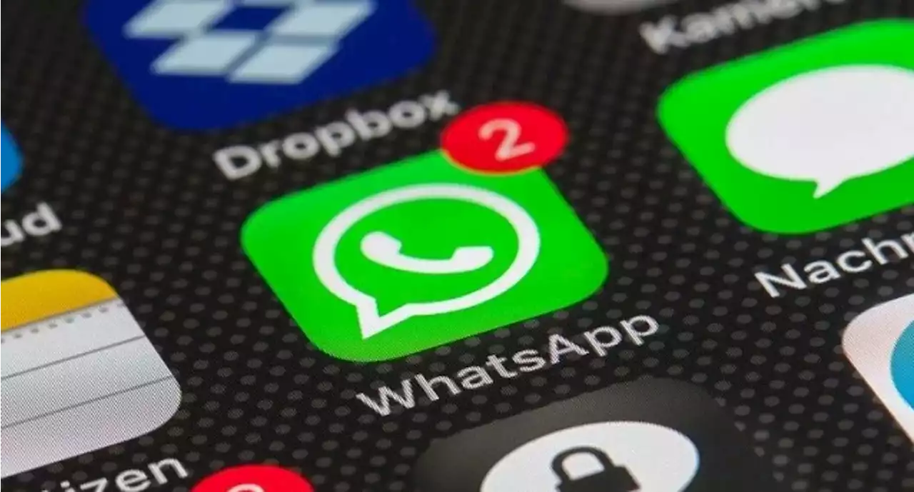 Cómo tener dos cuentas de WhatsApp en un mismo celular, sin necesidad de 'apps' extras - Pulzo
