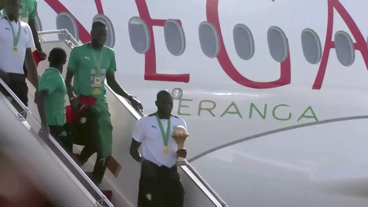 Cash prizes, real estate, and highest honours as Senegal celebrates Nations Cup heroes