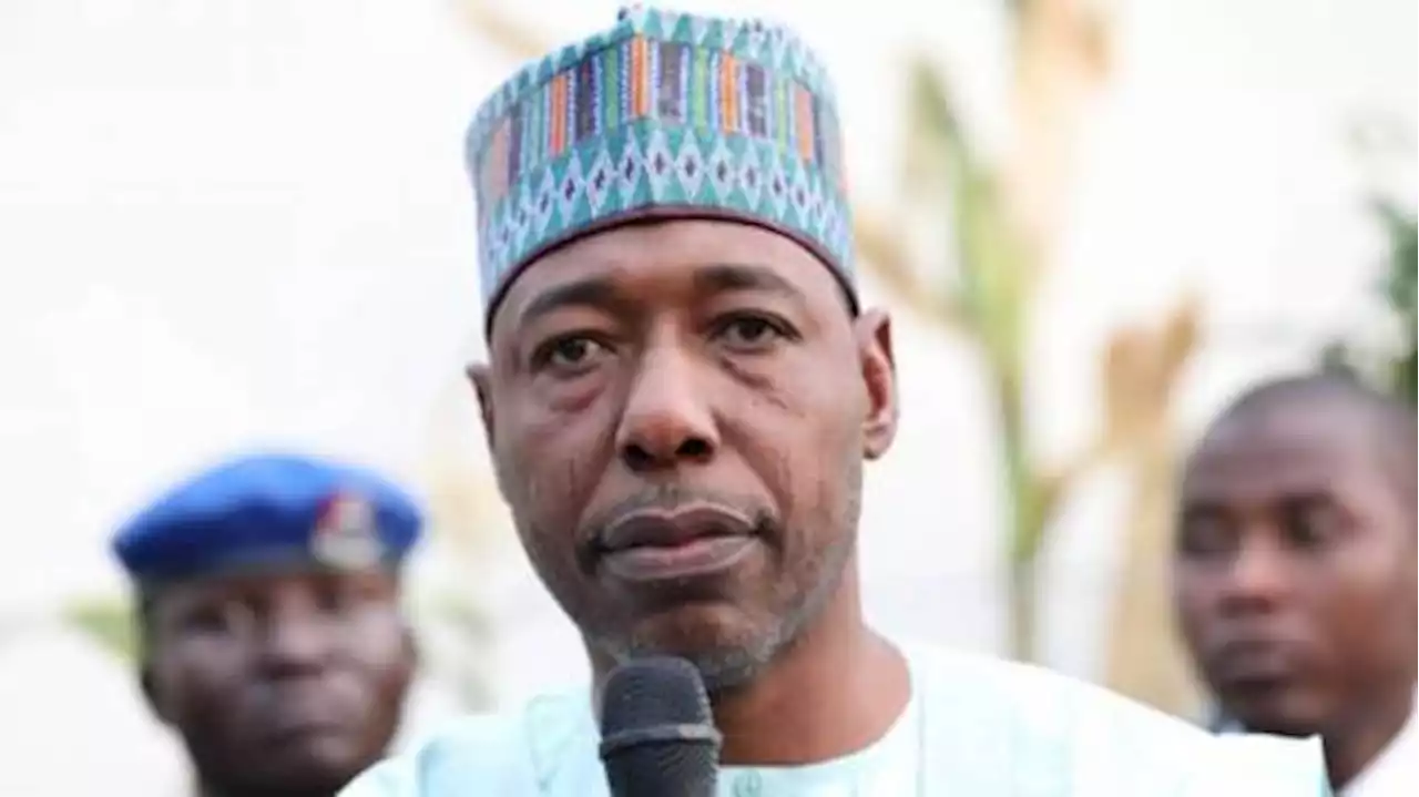 We Didn’t Entice 30,000 Surrendered Boko Haram Fighters With Any Incentive – Borno Governor | Sahara Reporters