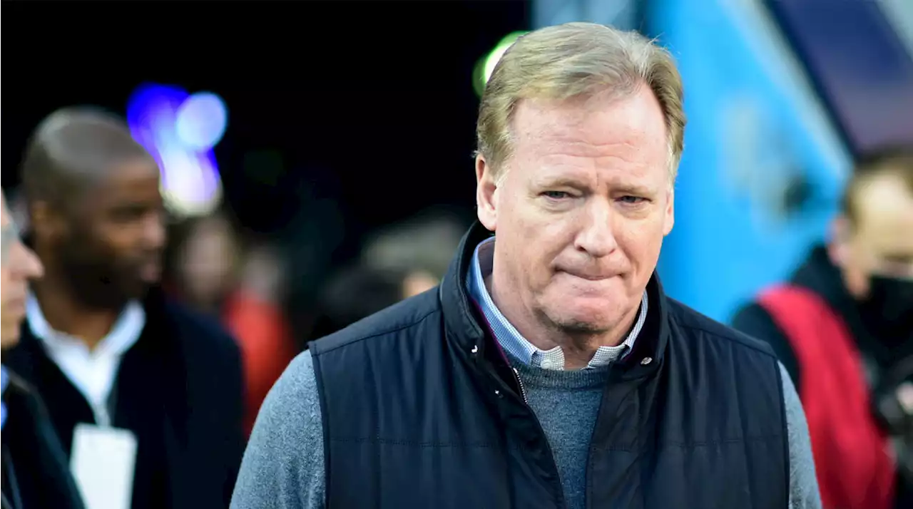 Goodell: NFL Has Fallen Short ‘By a Long Shot’ on Diversity