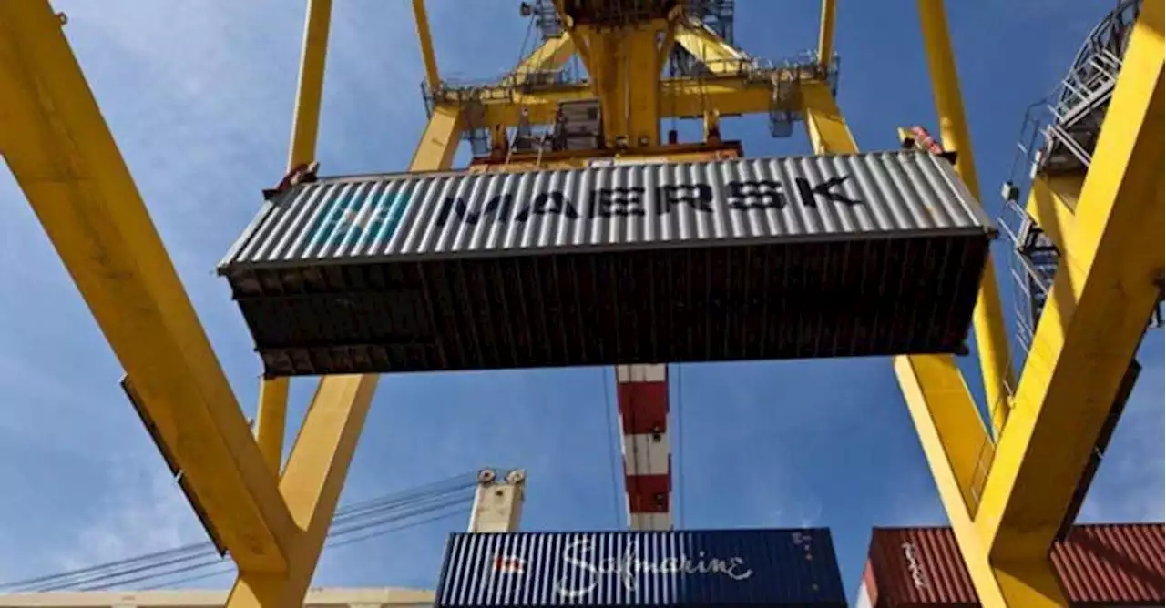 Caos container, per Maersk (e non solo) l’estate porterà la «normalizzazione»