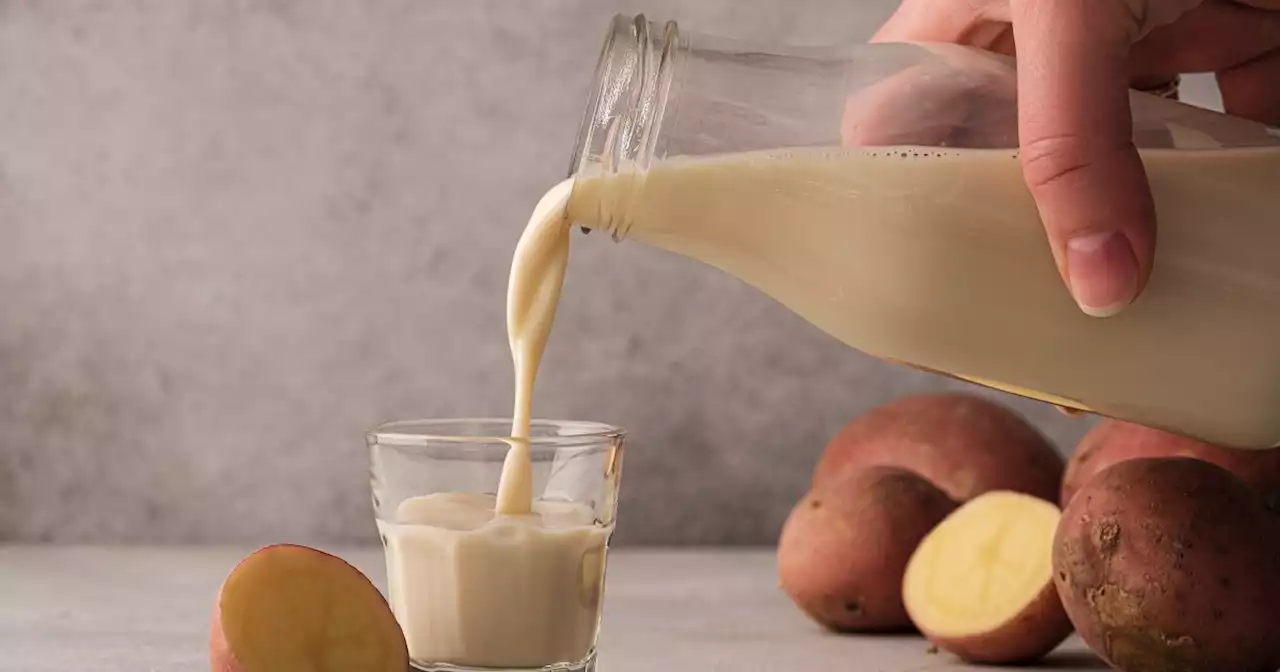 Potato milk is now a thing — so we tried making our own