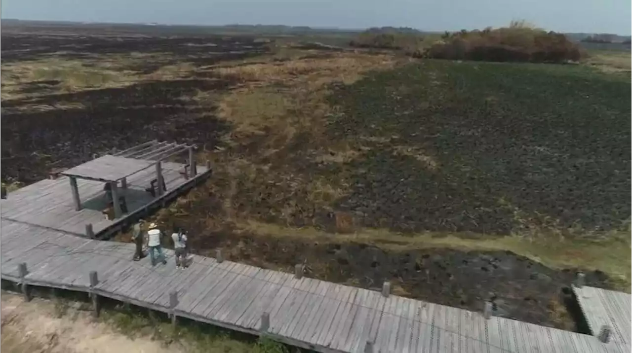 El fuego ya arrasó el 4% de la superficie de Corrientes