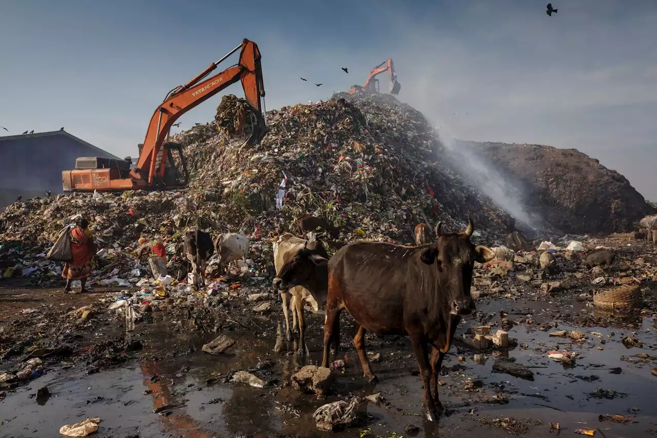 Soaring Methane Levels Has Scientists Concerned Climate Feedback Loop Is Here