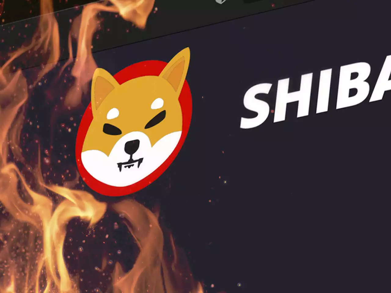 144.2 Million SHIB Burned, While SHIB Becomes Token with Largest USD Value for Whales