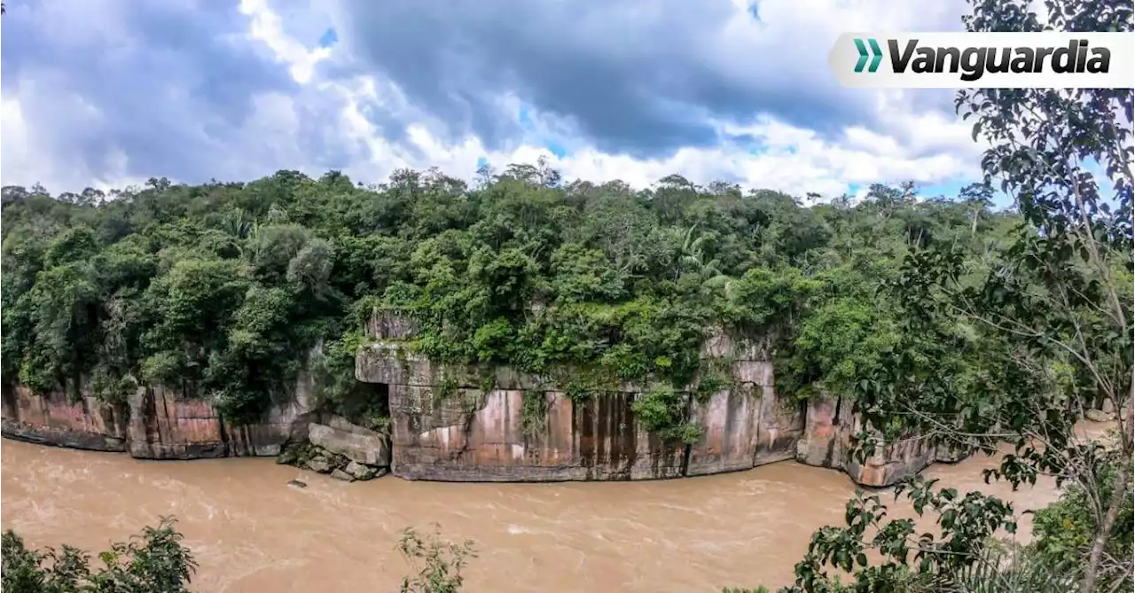 Se entregaron tres deforestadores de los más buscados del país