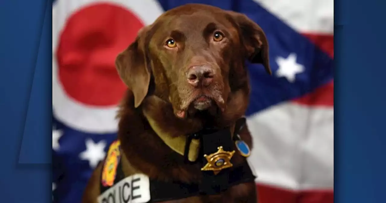 Dodger, Ohio's first State Fire Marshal explosive detection canine, dies at 13