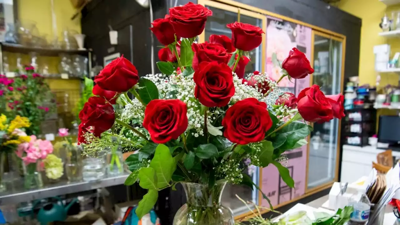 Colombia, uno de los principales países exportadores de flores para celebrar San Valentín