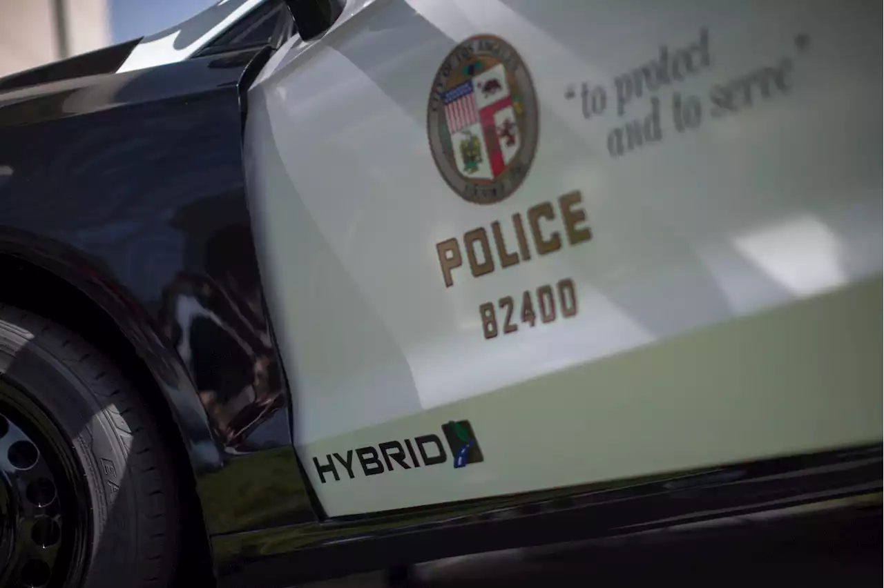 Suspects Still At-Large In Violent Attempted Robbery In Venice