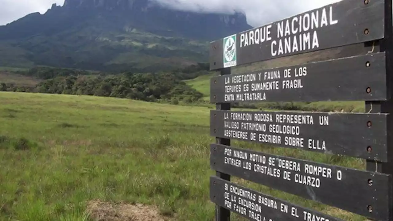 Lujo y copas en un parque nacional: la fiesta de un empresario chavista que desató un escándalo en Venezuela