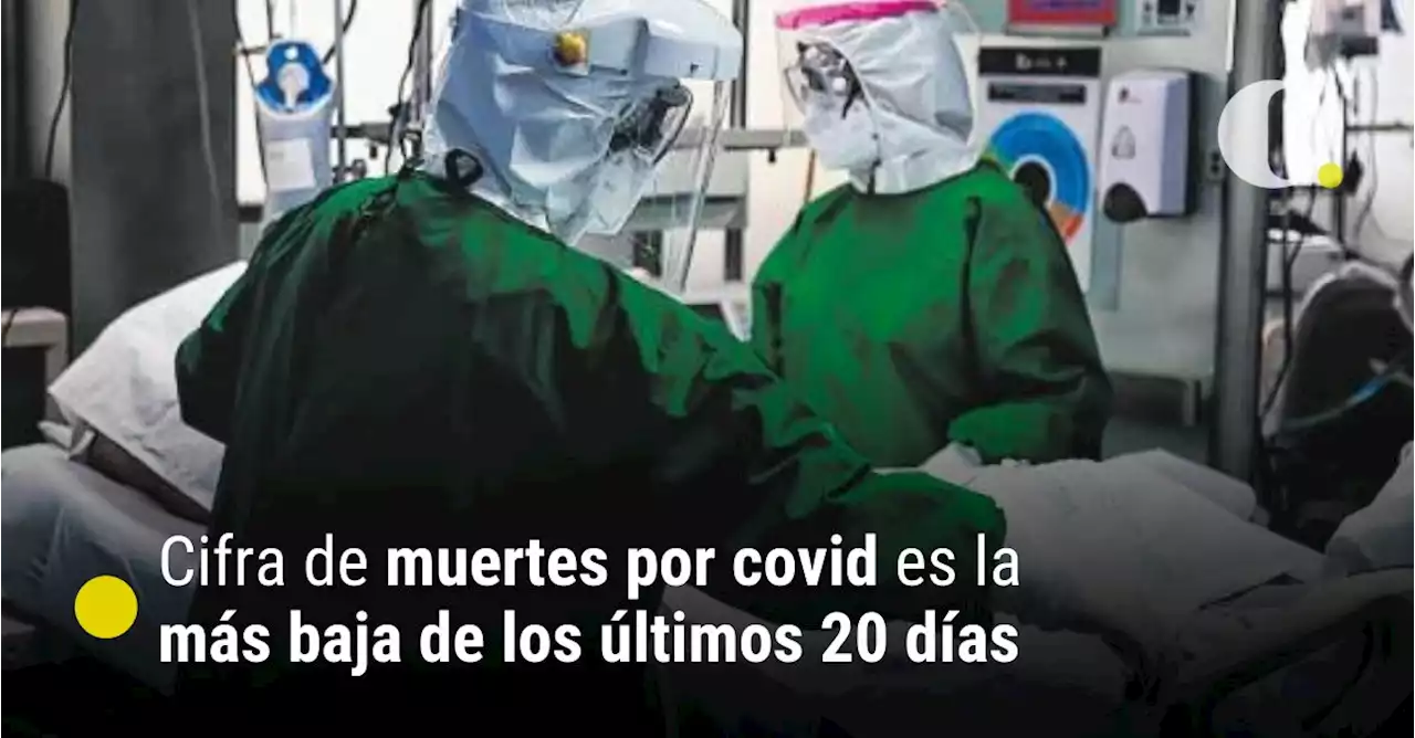 Cifra de muertes por covid es la más baja de los últimos 20 días