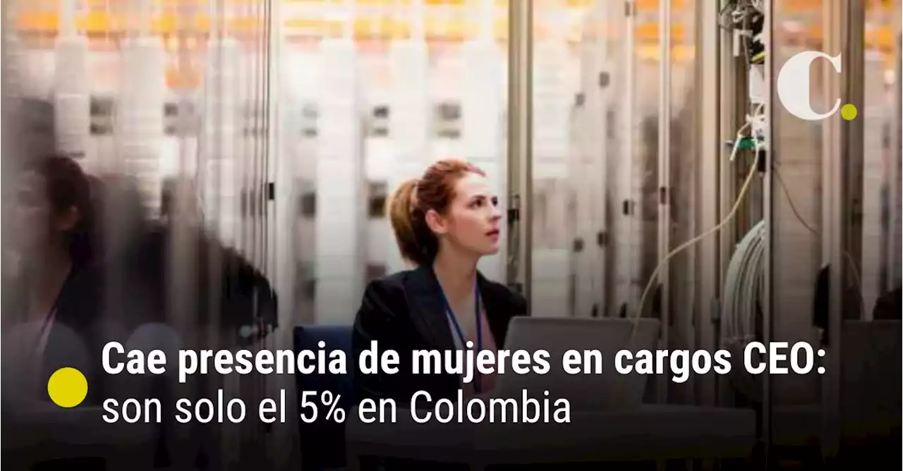 Cae presencia de mujeres en cargos CEO: son solo el 5% en Colombia