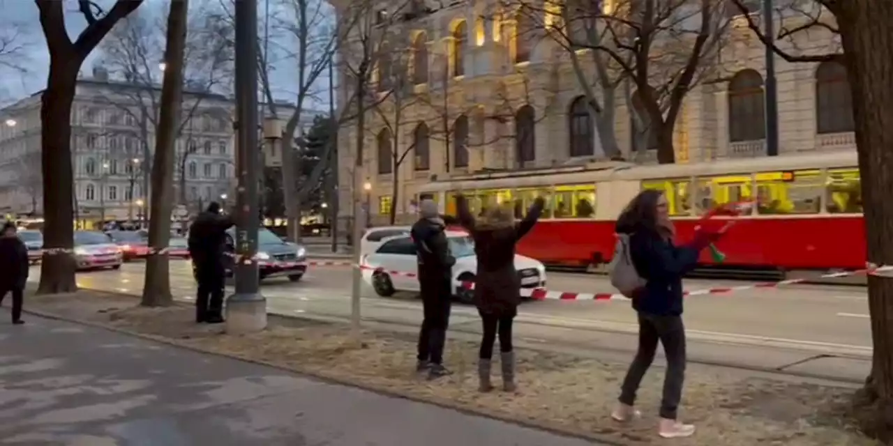 Demo-Konvoi in Wien – darum hagelt es nun Anzeigen
