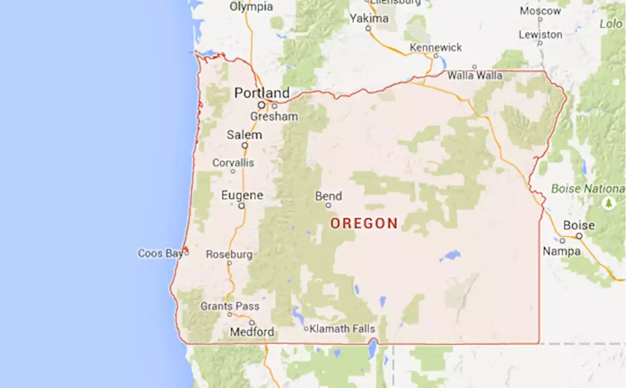 US brothers die in bear-shooting accident