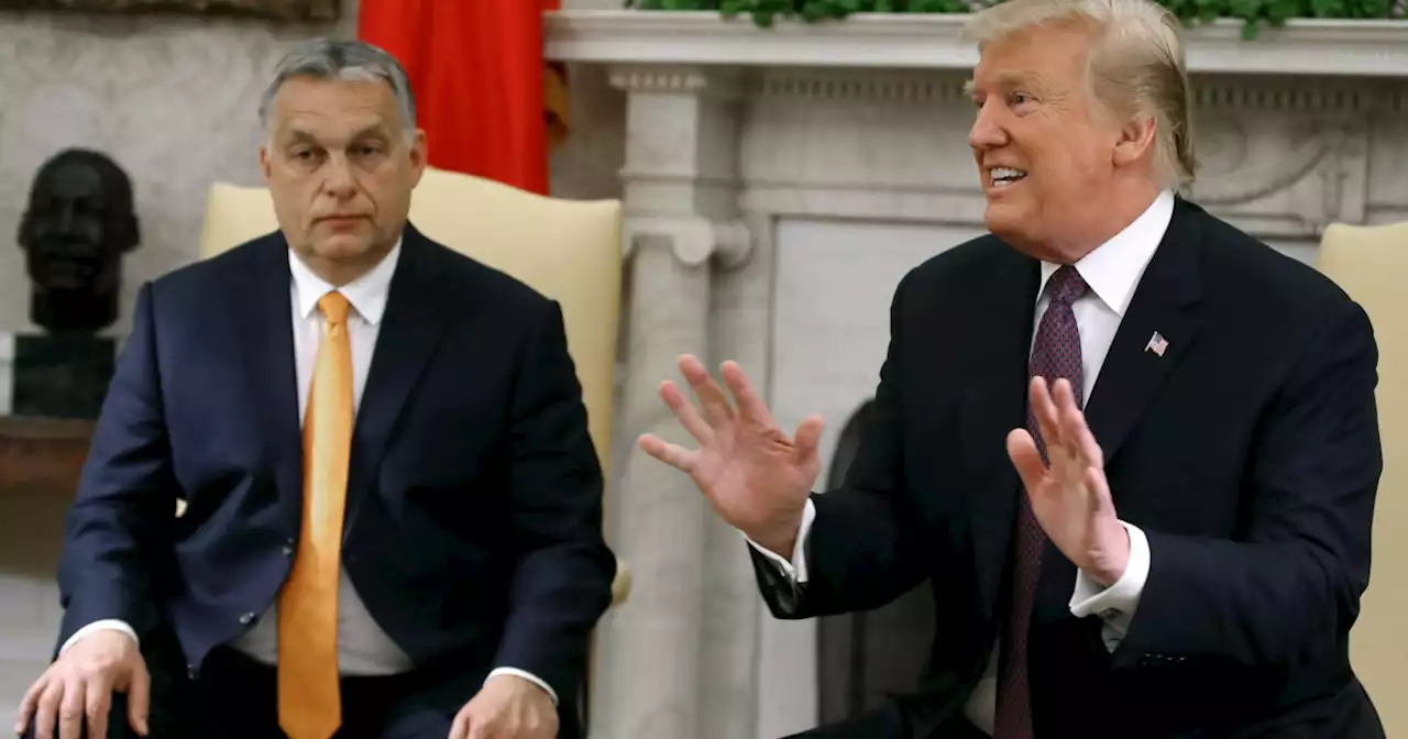 Ungarn: Orban bittet Trump um Wahlkampfhilfe