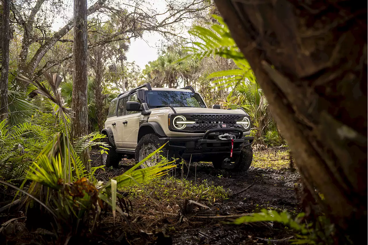 New 2022 Ford Bronco Everglades Is a sweet swamp thing