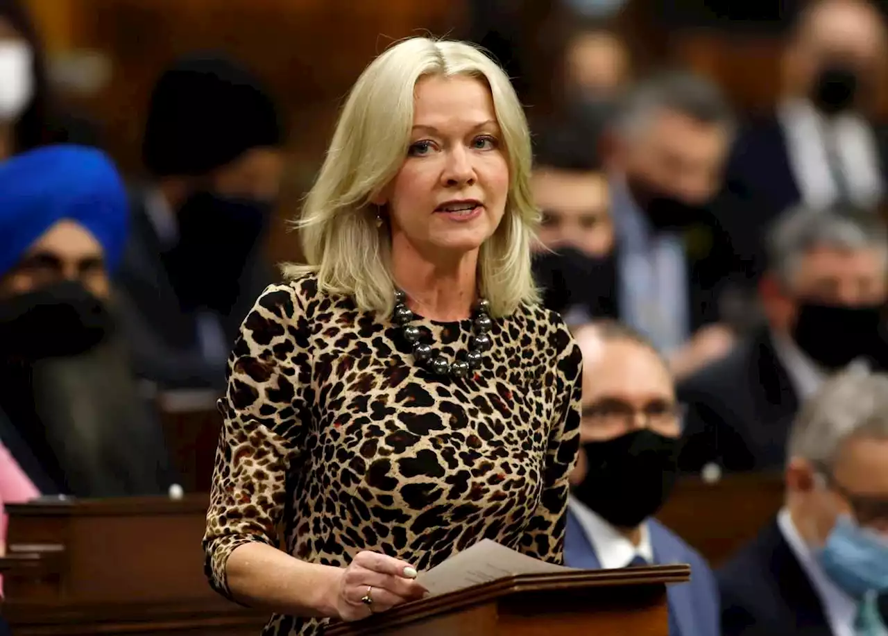 Conservatives now telling Ottawa protesters to go home