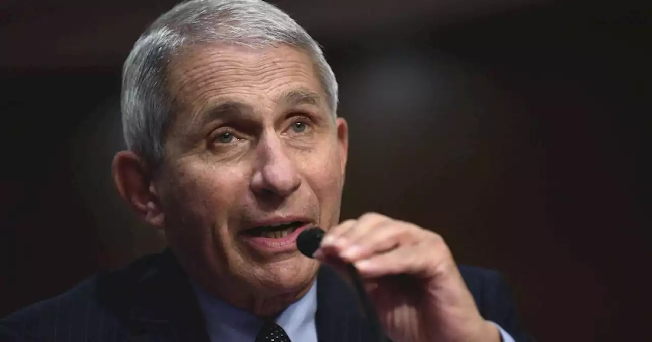 Dr. Fauci: 'Full-blown' phase of COVID-19 pandemic is ending soon