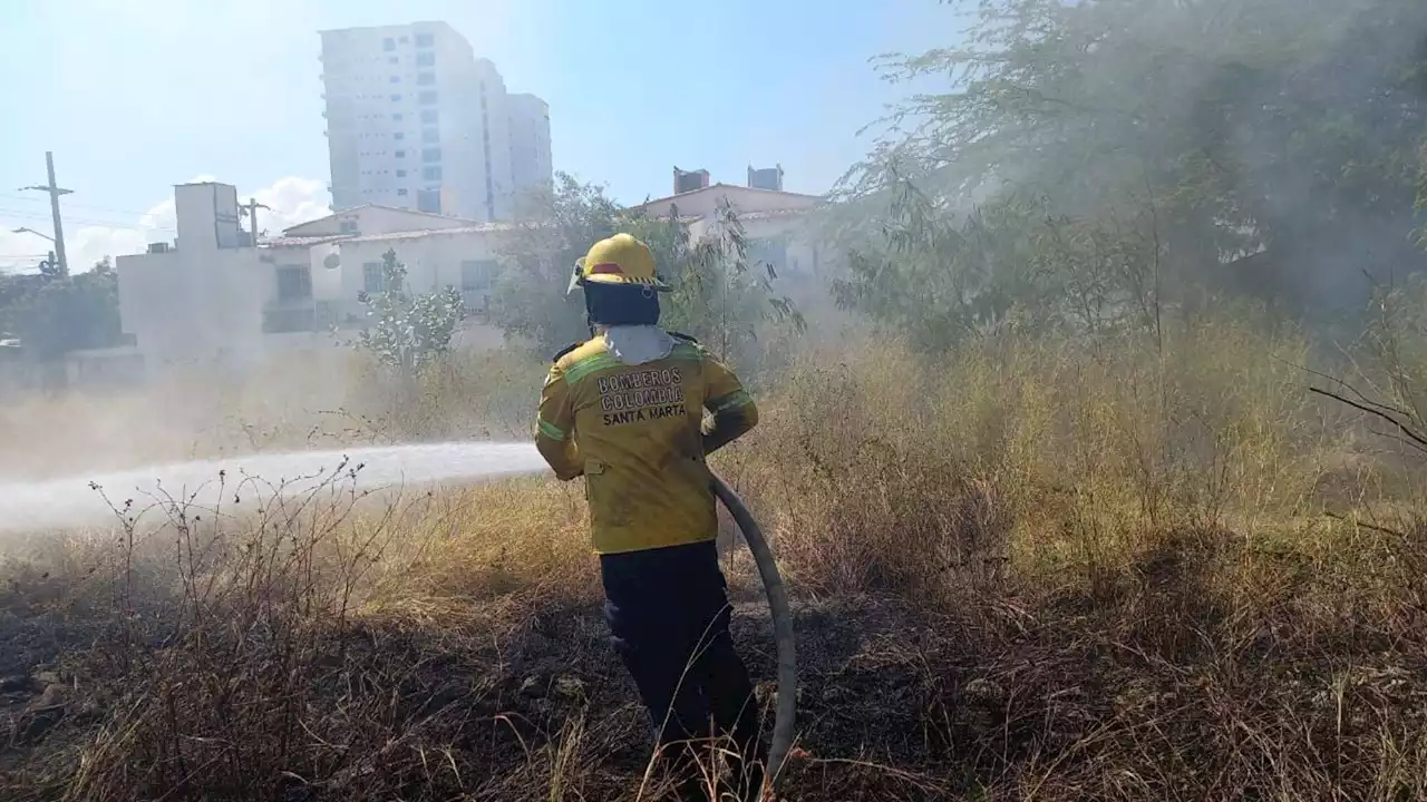 81 incendios vegetales se han presentado en Santa Marta en lo que va del 2022