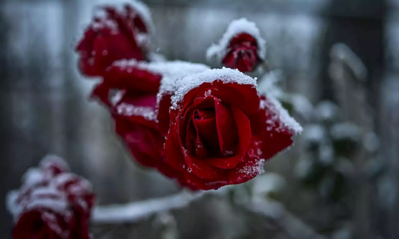 A San Valentino torna il maltempo