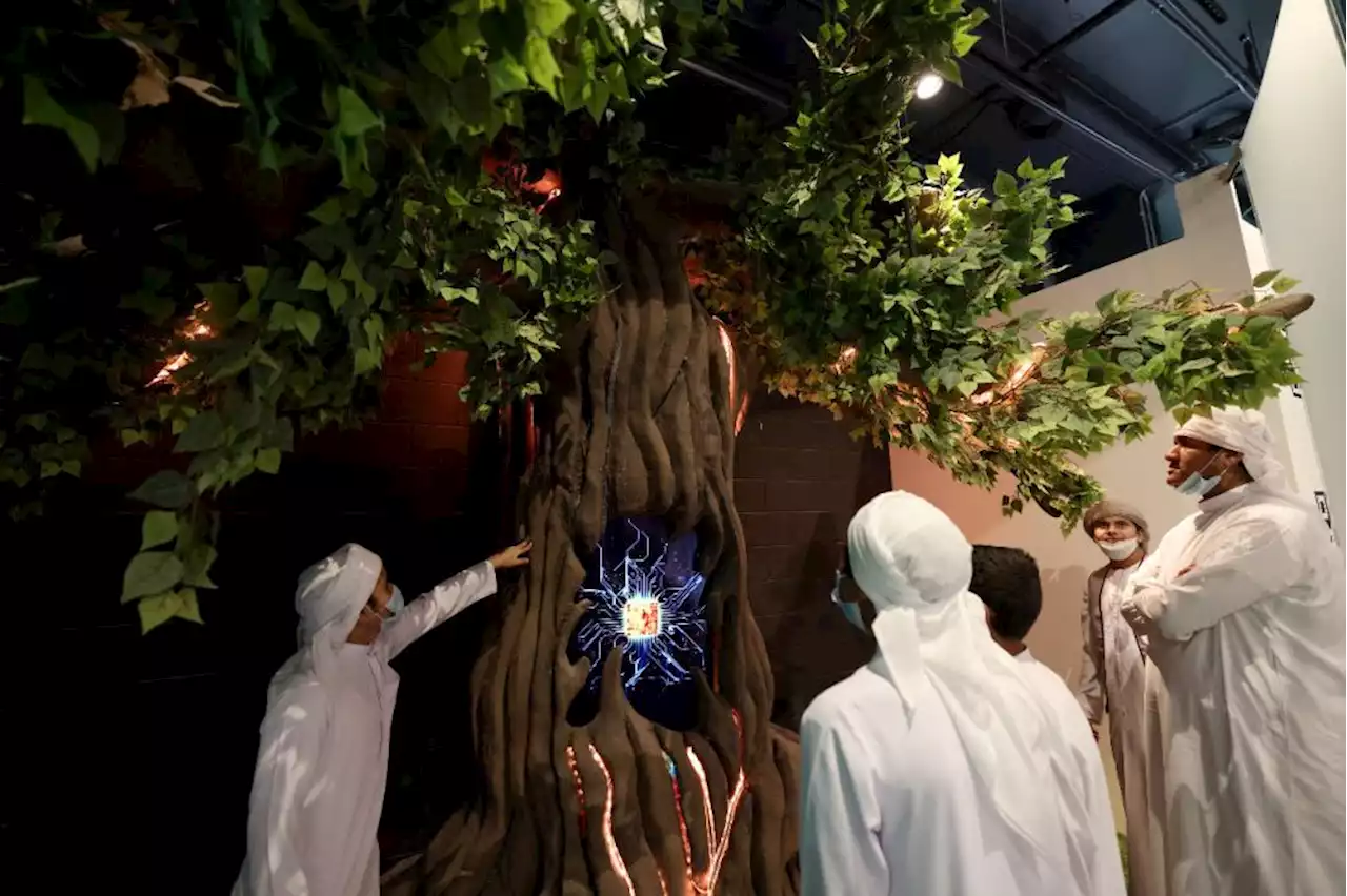 «شجرة الحياة».. صلابة «الأرمن»