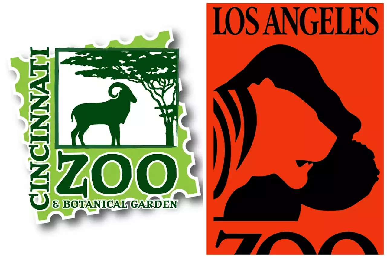 Hogle Zoo's Vulcan The Lion Predicts Super Bowl LVI Winner