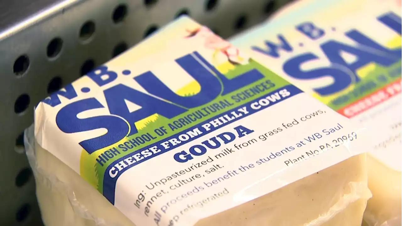 Cheese Produced By Walter B. Saul High School Students Being Sold At Local Philly Markets