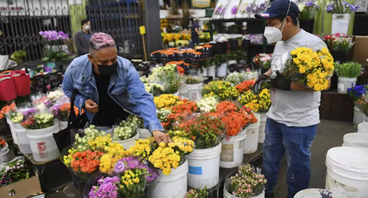 Flowers, Chocolates: Valentine’s Day Origin And How It Is Celebrated Worldwide