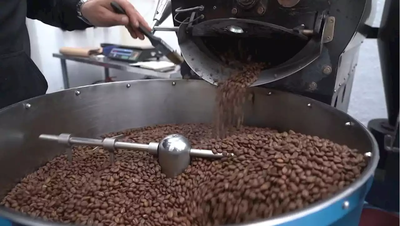 Coffee prices hit 10-year high