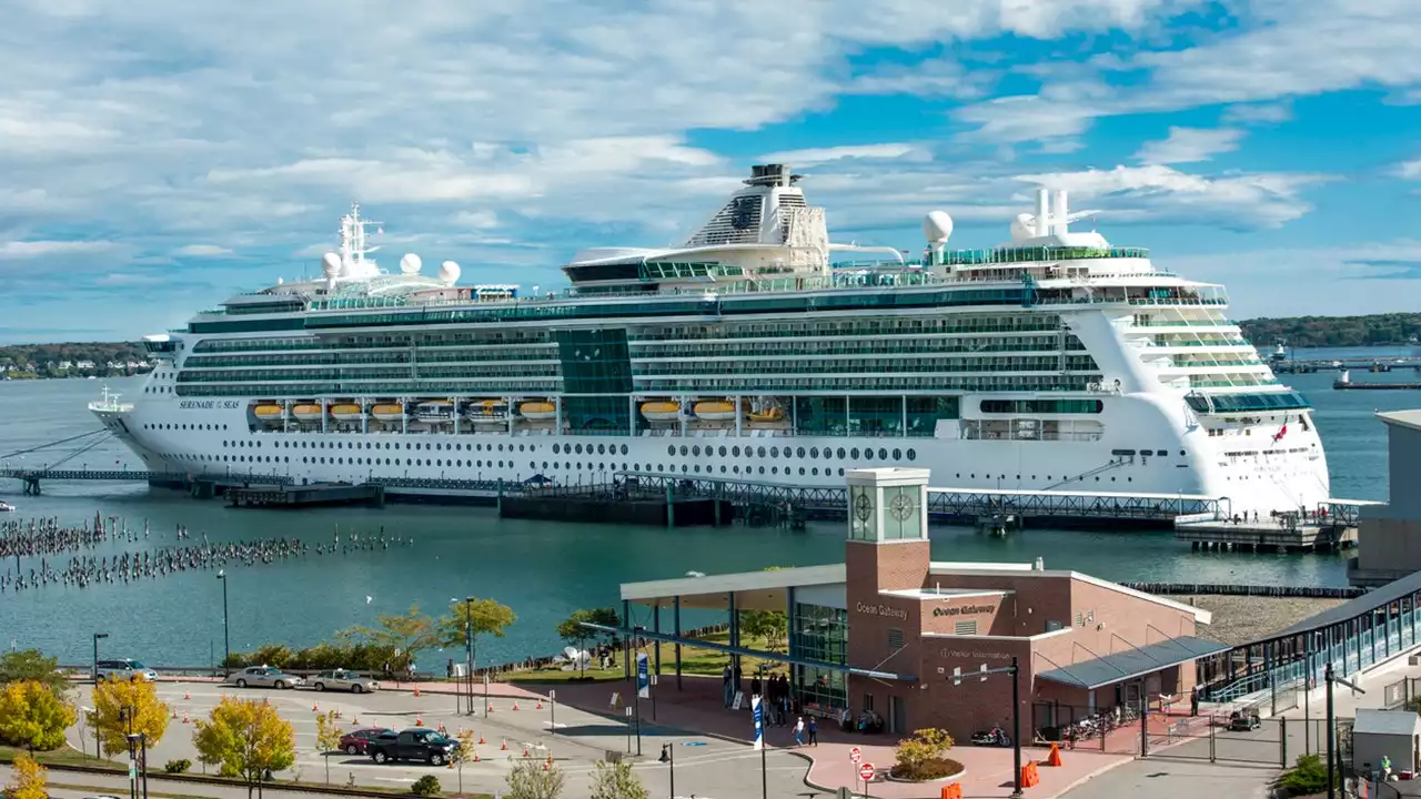 CDC releases new COVID guidelines for cruise industry