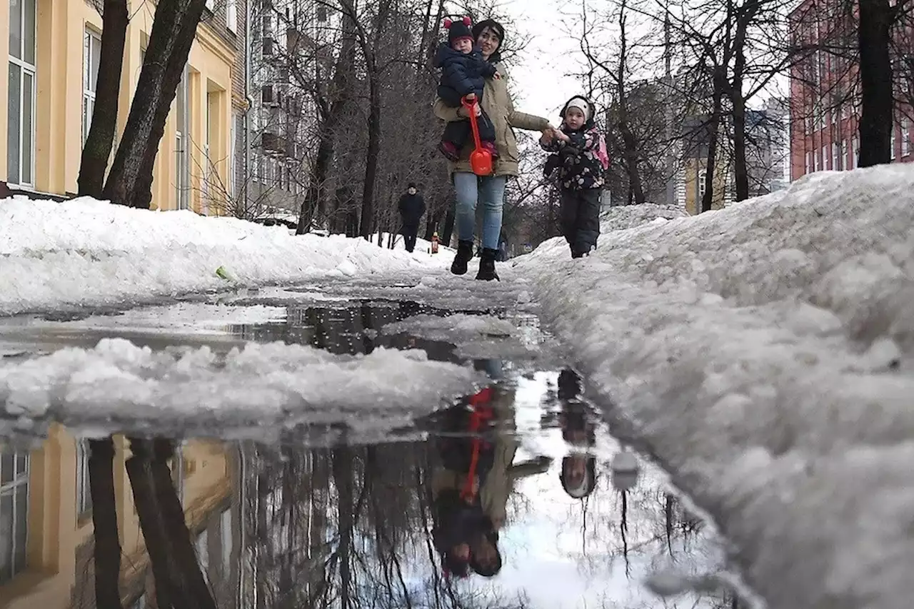 Синоптик: в феврале москвичам не стоит ждать сильных морозов