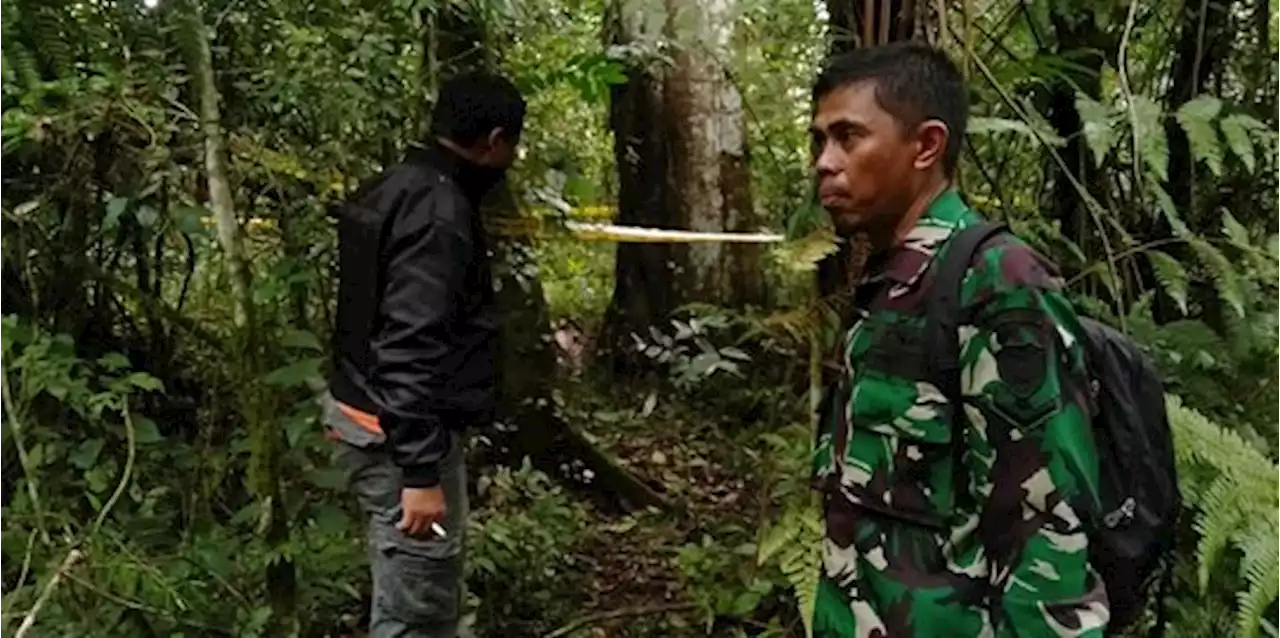 Hilang Hampir Sebulan, Mbah Dodo Ditemukan Meninggal di Kawasan Hutan | merdeka.com