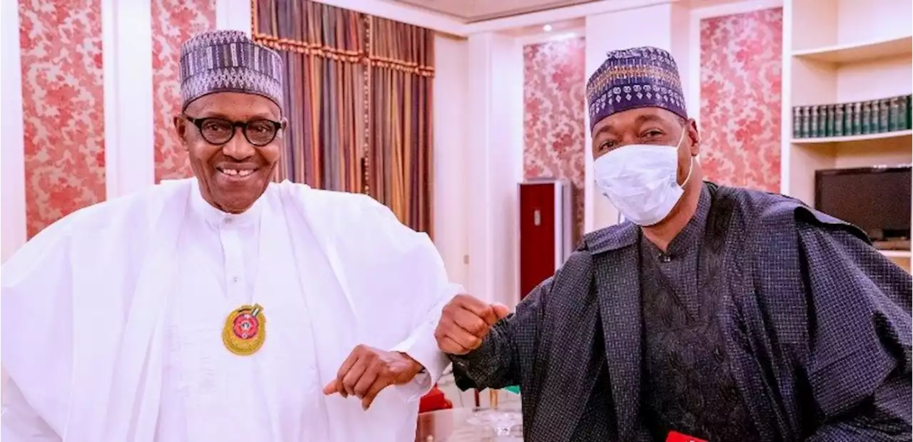 2023 polls: Buhari, APC's direction important for victory, says Zulum - Punch Newspapers