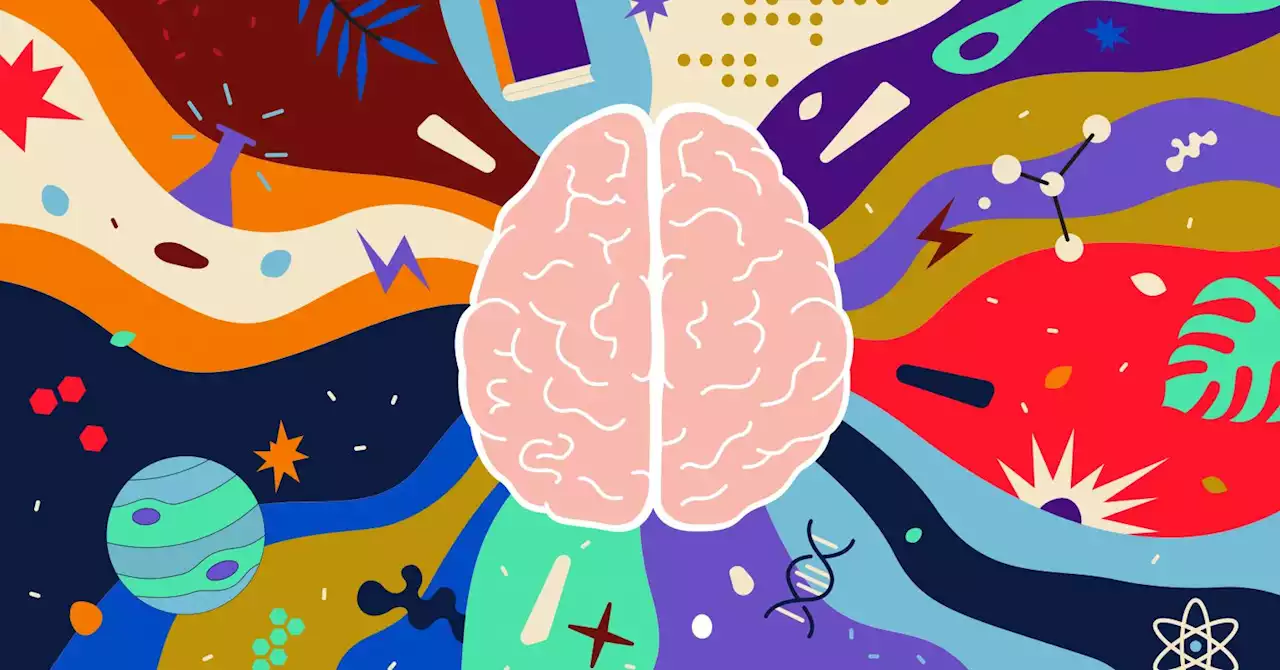 Fluid Whole-Brain Connectivity Supports Creative Thinking