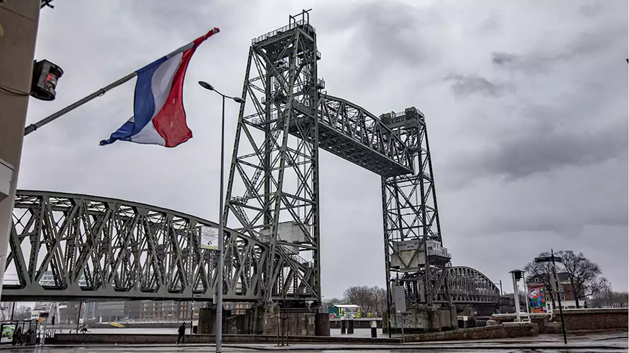 A Bridge Too Far? Thousands of Rotterdammers Are Lining Up to Pelt Jeff Bezos’s Gigayacht With Rotten Eggs
