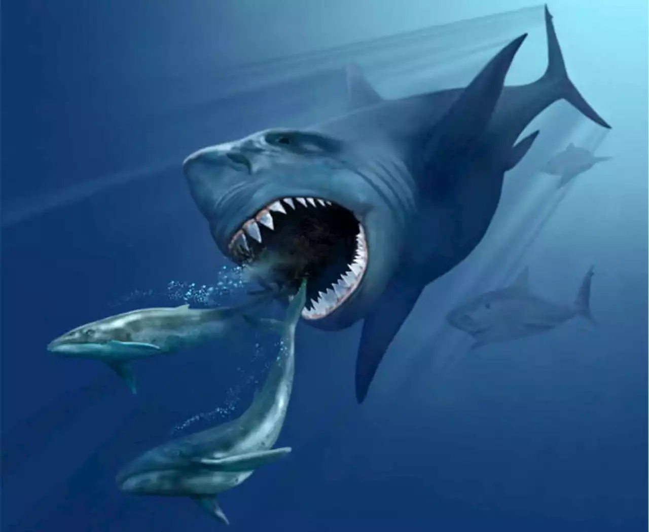 We Still Don’t Know What Megalodon Really Looked Like, Scientists Say | Sci-News.com