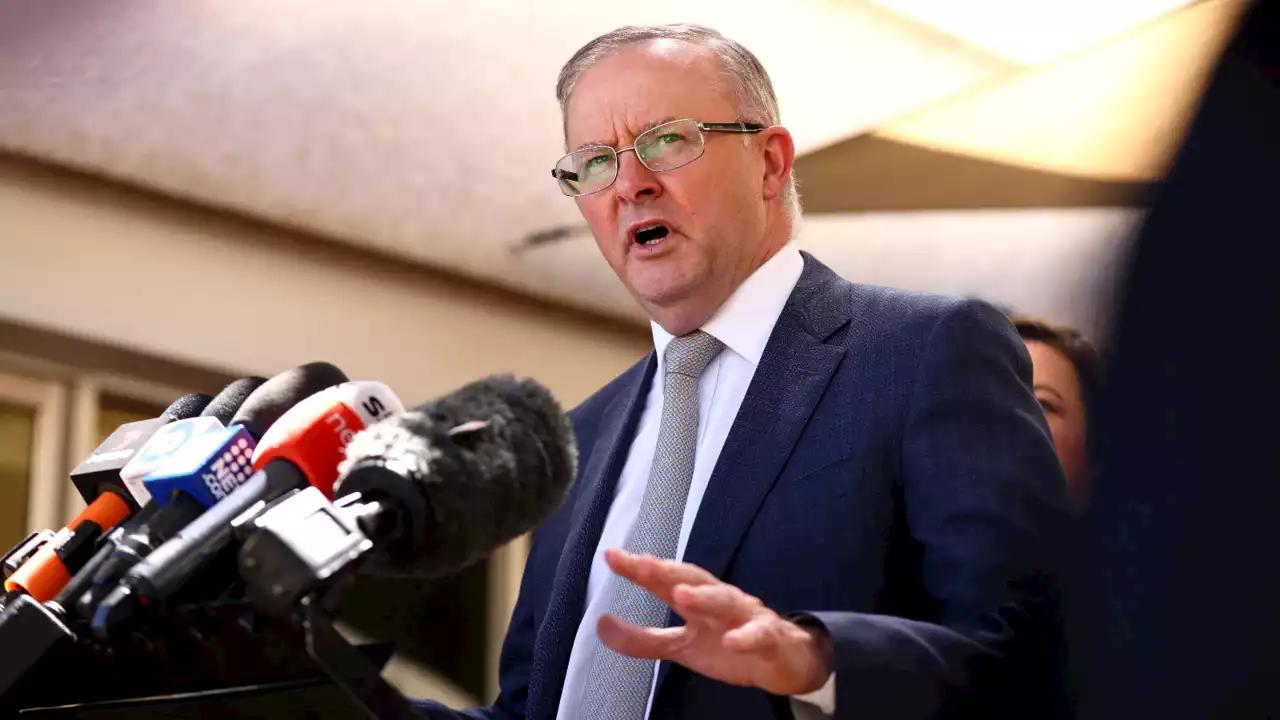 Russia should just &#8216;back off&#8217;: Albanese