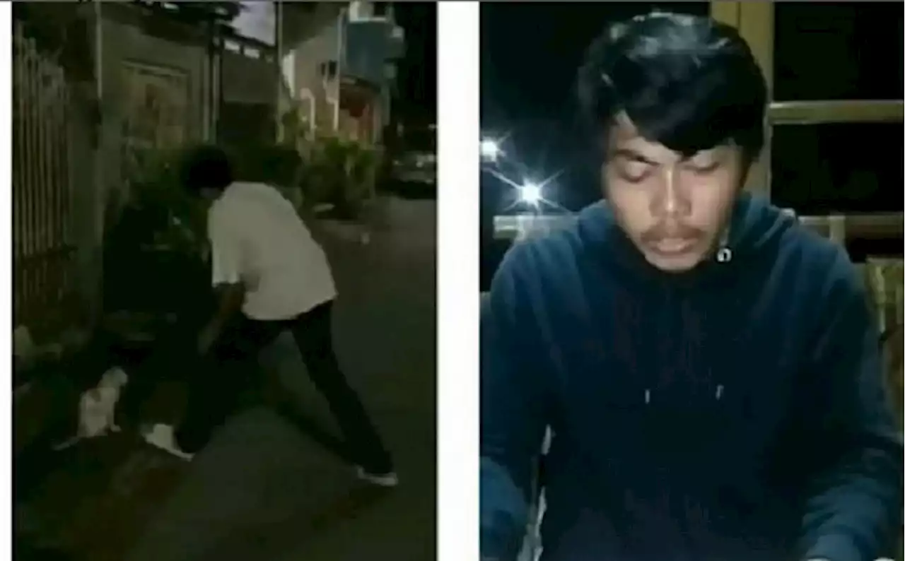 Video Menganiaya Kucing Viral, Pria Asal Makassar Ini Minta Maaf