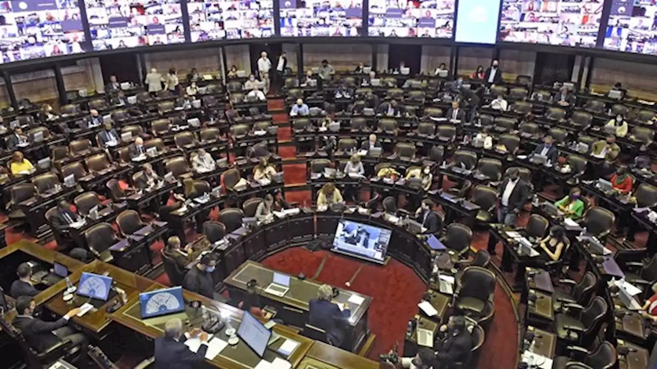 Diputados de diferentes bloques analizaron el acuerdo con el FMI