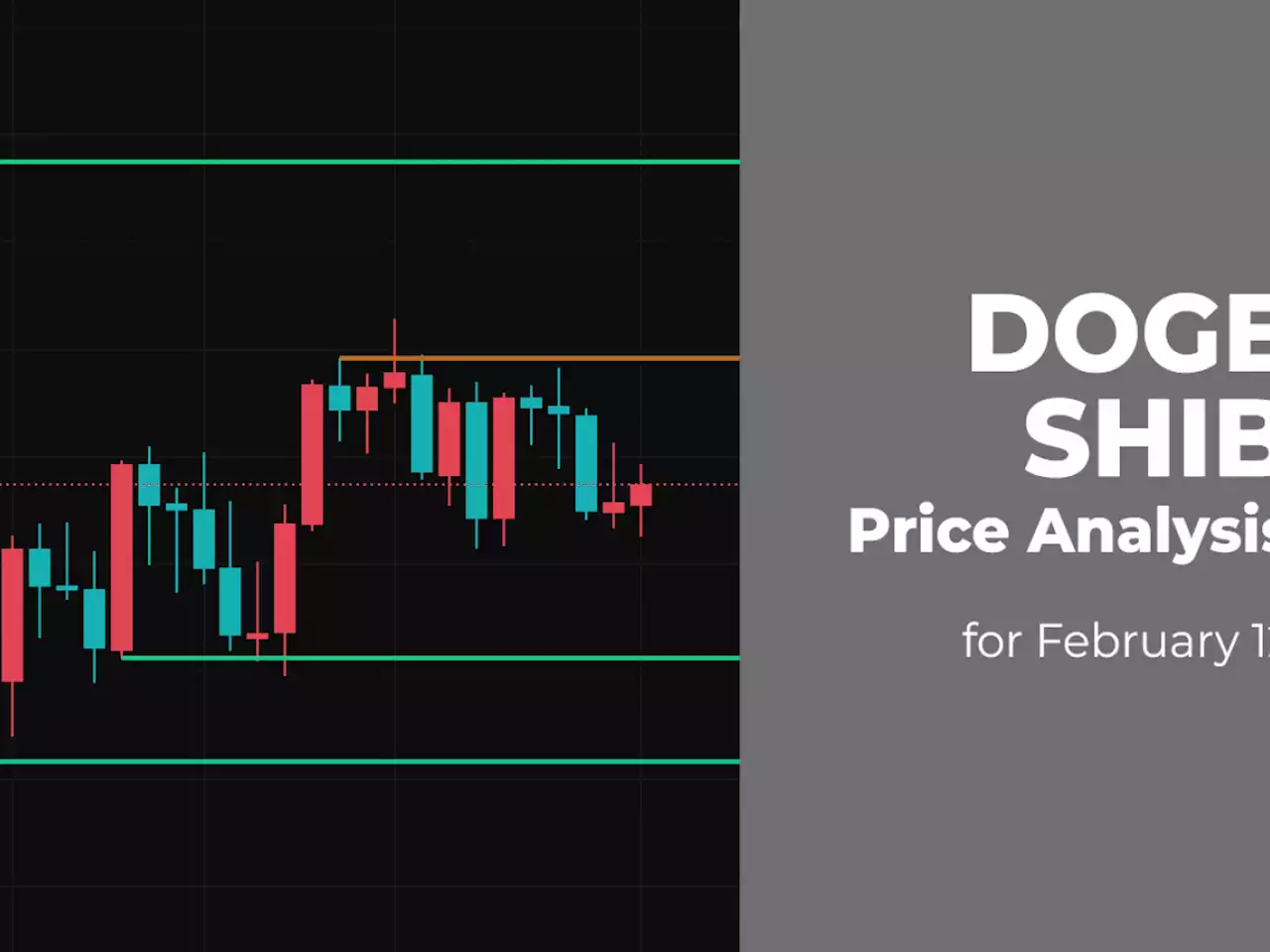 DOGE and SHIB Price Analysis for February 12