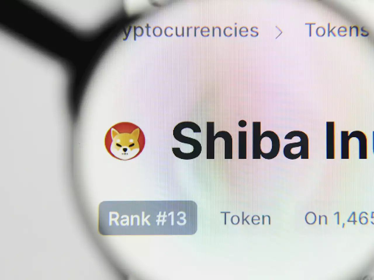 Over $1.5 Billion in SHIB Owned by Ethereum Whales as Coin is Back on Their Top 10 Holdings List