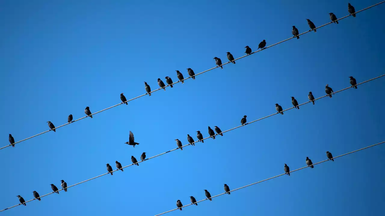 Die Sonne über NRW treibt die Menschen ins Freie