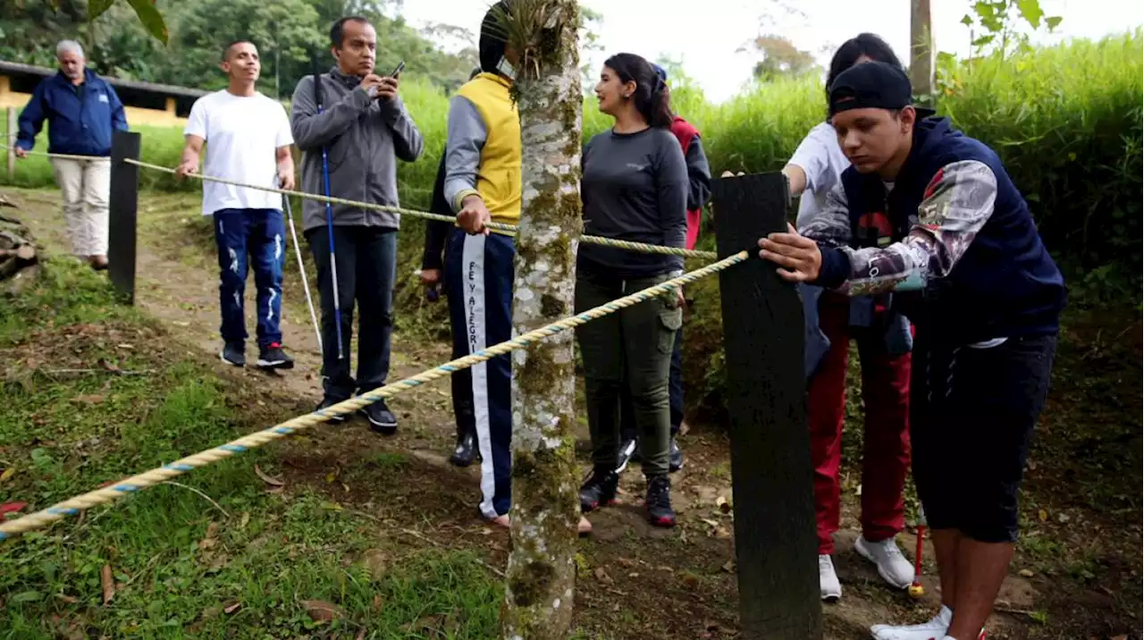 'Para ver con los oídos': la terapia de la experiencia sensorial con las aves en personas con discapacidad visual