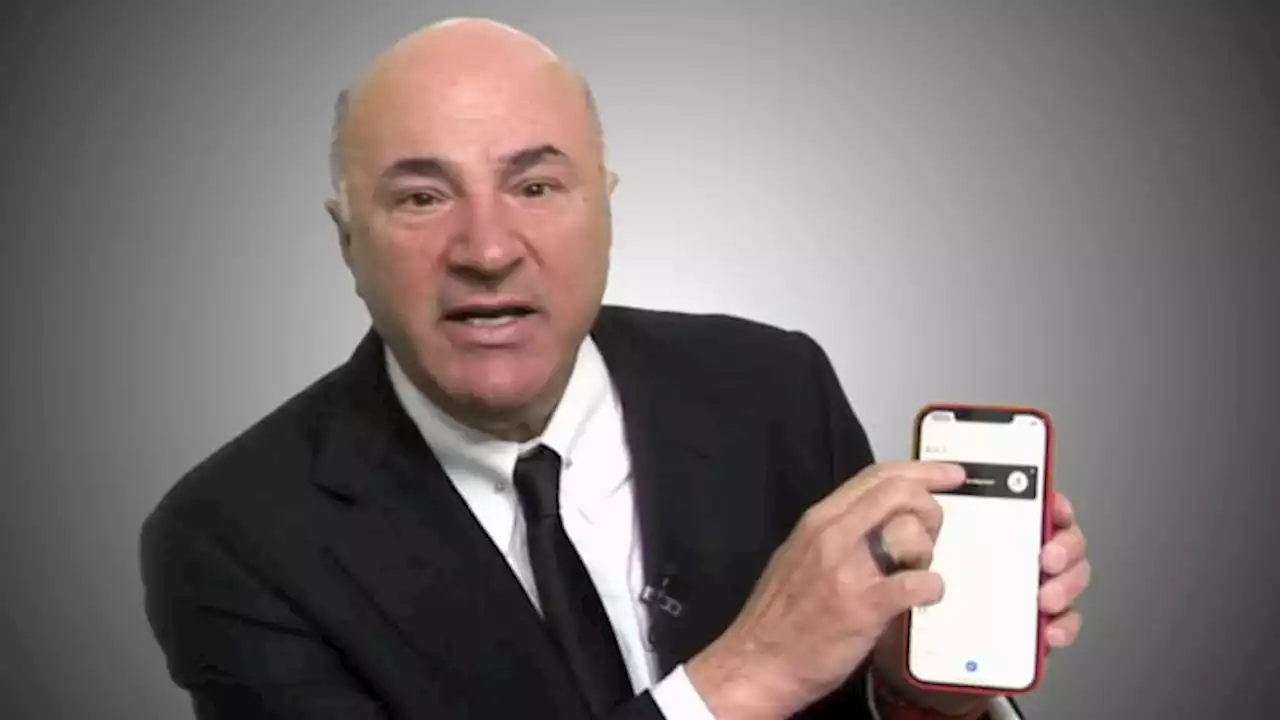 Kevin O'Leary on 'Shark Tank' pet peeves: A CEO who doesn't know their numbers deserves 'to burn in hell'